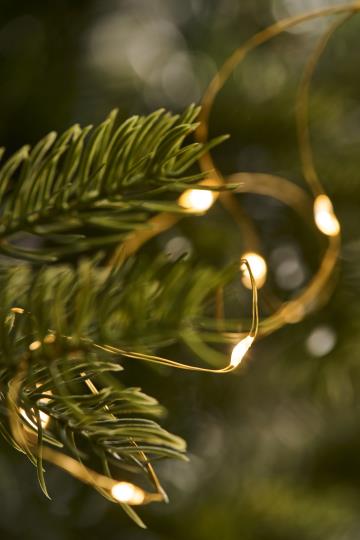 Lichterkette mit 40 LED-Lichtern