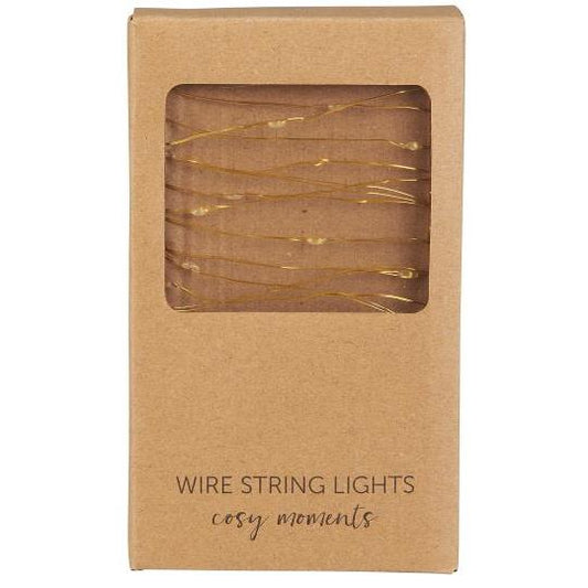 Lichterkette mit 40 LED-Lichtern